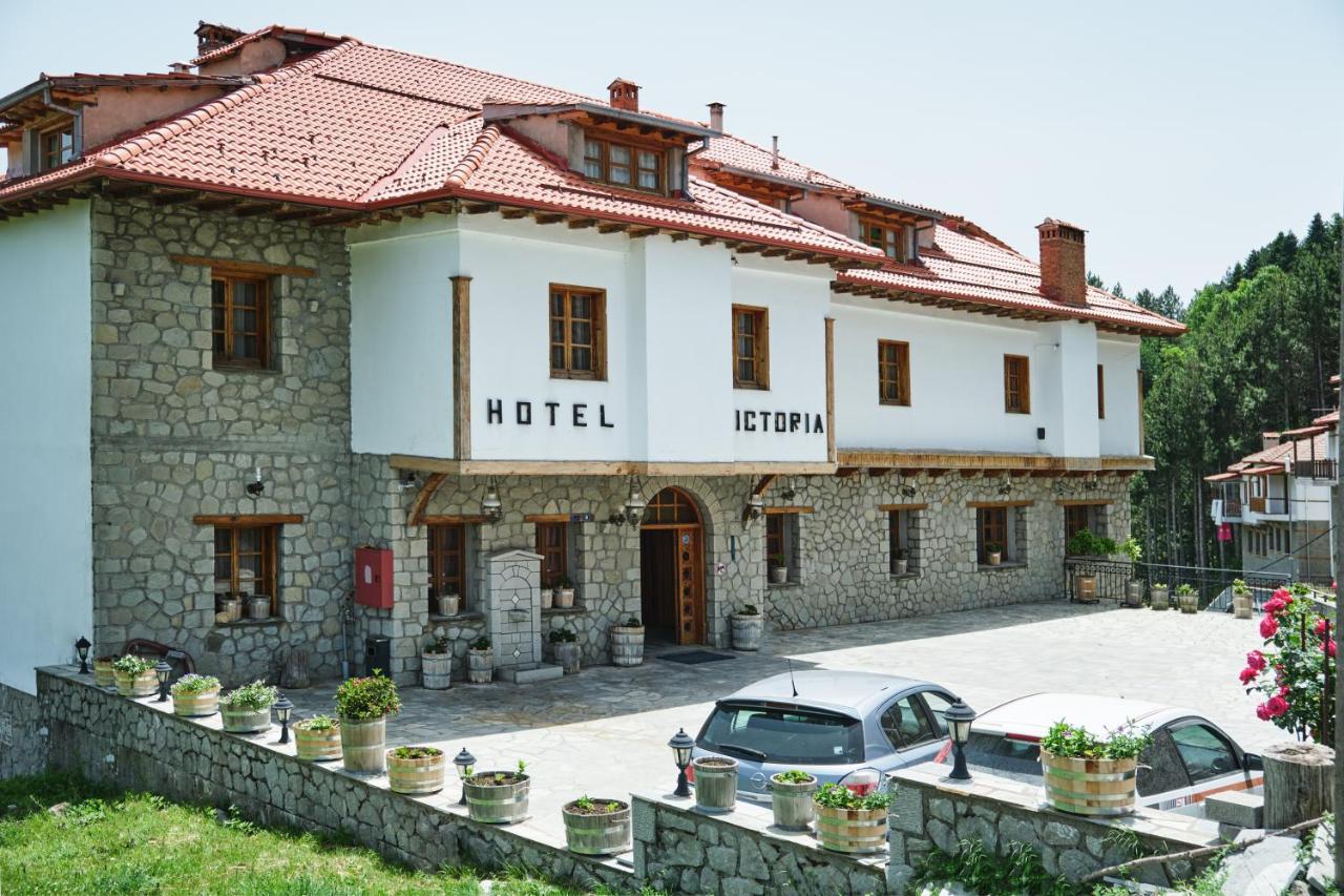Hotel Victoria Metsovo Buitenkant foto