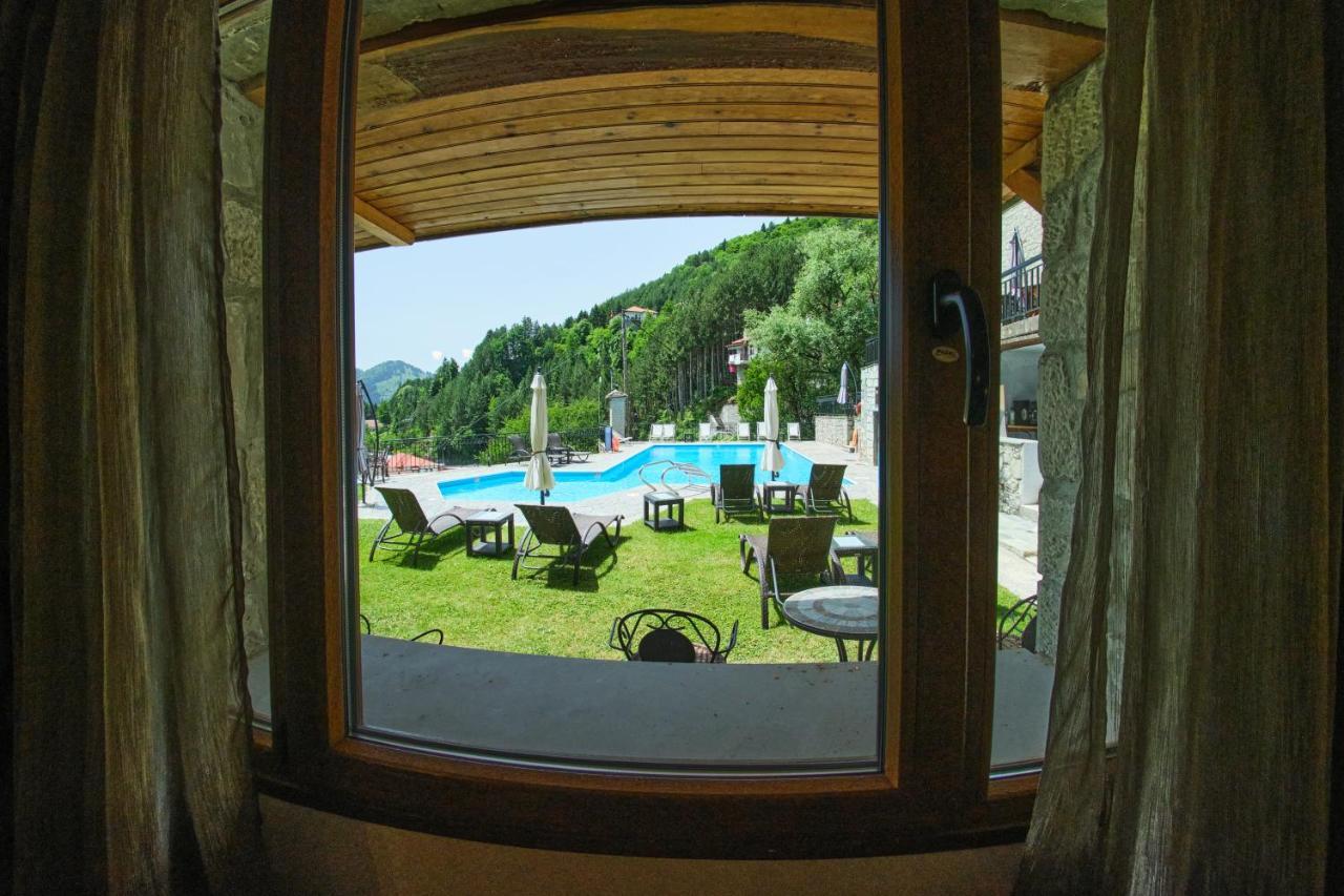 Hotel Victoria Metsovo Buitenkant foto